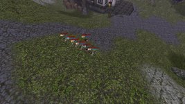 WhatsApp Image 2025-11-05 at 07.40.55.jpeg